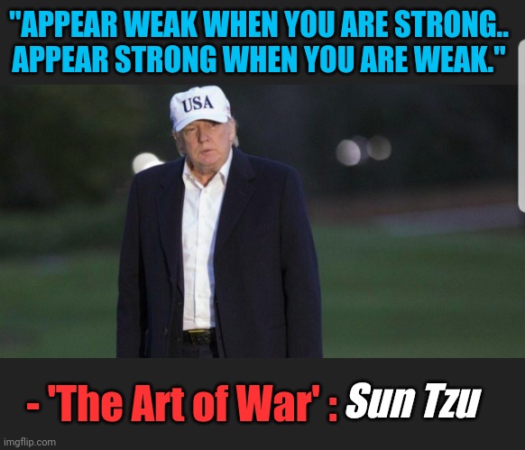Appear weak when you are strong | "APPEAR WEAK WHEN YOU ARE STRONG..
APPEAR STRONG WHEN YOU ARE WEAK."; - 'The Art of War' :; Sun Tzu | image tagged in relaxing game of golf during supposed biden victory,expose voter fraud | made w/ Imgflip meme maker