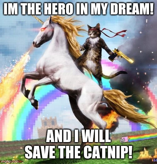 totally tru | I'M THE HERO IN MY DREAM! AND I WILL SAVE THE CATNIP! | image tagged in memes,welcome to the internets | made w/ Imgflip meme maker