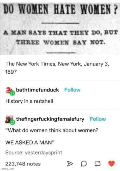 "what do women think about women? WE ASKED A MAN" | image tagged in do women hate women,women,feminism | made w/ Imgflip meme maker