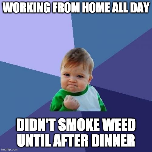 Success Kid Meme | WORKING FROM HOME ALL DAY; DIDN'T SMOKE WEED UNTIL AFTER DINNER | image tagged in memes,success kid,AdviceAnimals | made w/ Imgflip meme maker