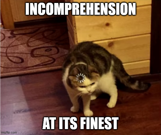 Loading Cat HD | INCOMPREHENSION AT ITS FINEST | image tagged in loading cat hd | made w/ Imgflip meme maker