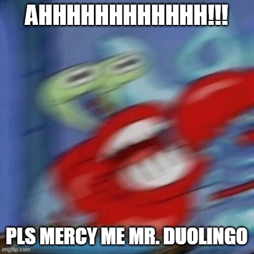 Mr krabs blur | AHHHHHHHHHHHH!!! PLS MERCY ME MR. DUOLINGO | image tagged in mr krabs blur | made w/ Imgflip meme maker