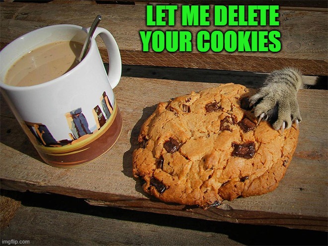 LET ME DELETE YOUR COOKIES | made w/ Imgflip meme maker