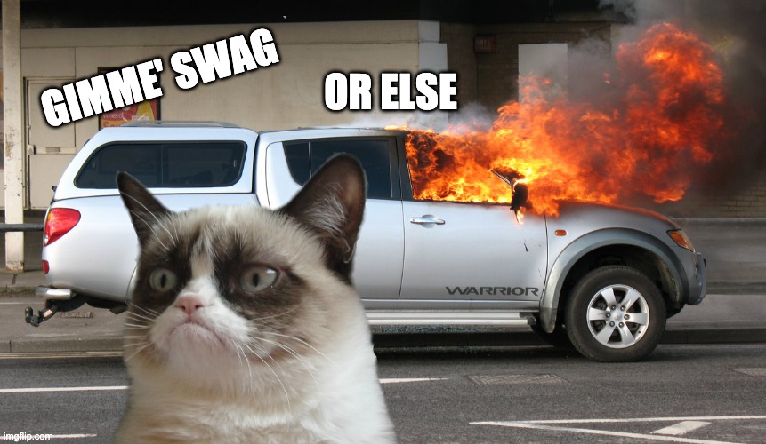 Gimme' Swag | GIMME' SWAG; OR ELSE | image tagged in grumpy cat | made w/ Imgflip meme maker