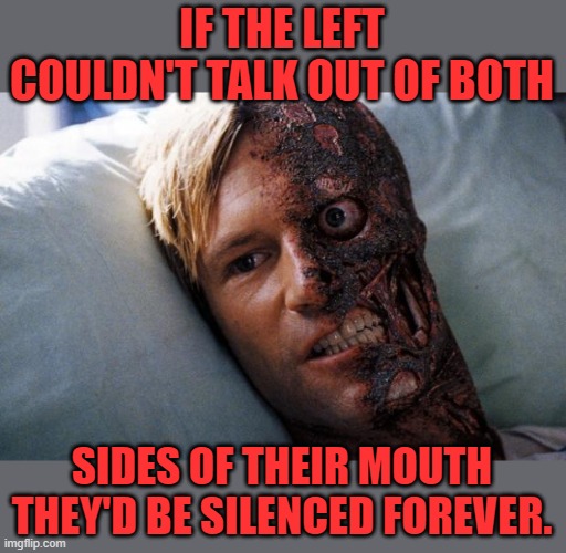 Two Face | IF THE LEFT COULDN'T TALK OUT OF BOTH SIDES OF THEIR MOUTH THEY'D BE SILENCED FOREVER. | image tagged in two face | made w/ Imgflip meme maker