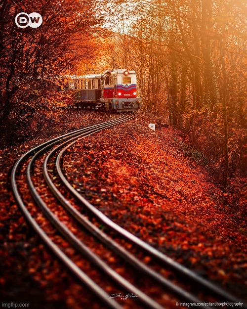oh lawd he comin' | image tagged in train in budapest,autumn,autumn leaves,train,trains,i like trains | made w/ Imgflip meme maker
