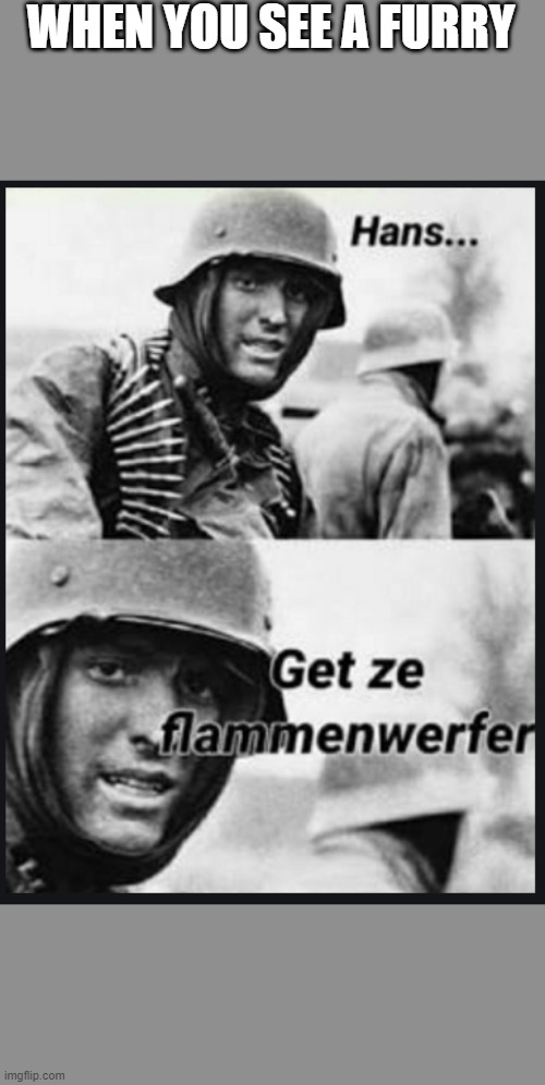 fritz i get the flamethrower | WHEN YOU SEE A FURRY | image tagged in memes | made w/ Imgflip meme maker