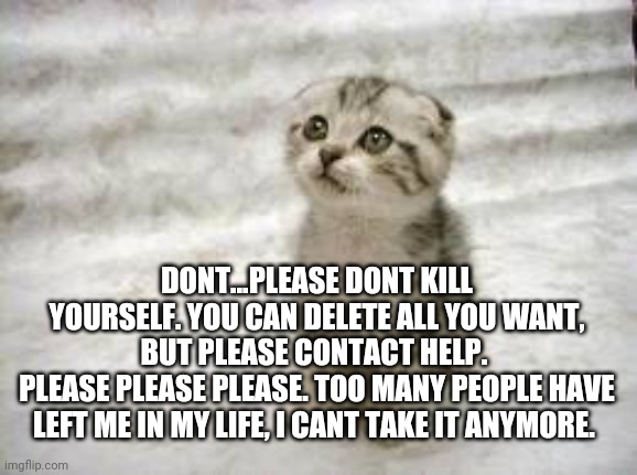 Sad Cat Meme | DONT...PLEASE DONT KILL YOURSELF. YOU CAN DELETE ALL YOU WANT, BUT PLEASE CONTACT HELP. 
PLEASE PLEASE PLEASE. TOO MANY PEOPLE HAVE LEFT ME IN MY LIFE, I CANT TAKE IT ANYMORE. | image tagged in memes,sad cat | made w/ Imgflip meme maker