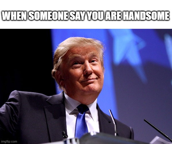 Donald Trump No2 |  WHEN SOMEONE SAY YOU ARE HANDSOME | image tagged in donald trump no2 | made w/ Imgflip meme maker