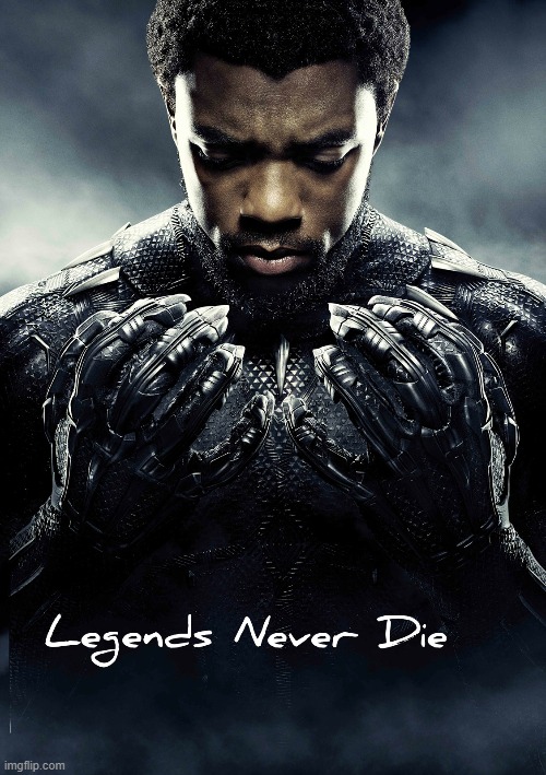 You would get what i mean by this... | image tagged in legends never die | made w/ Imgflip meme maker