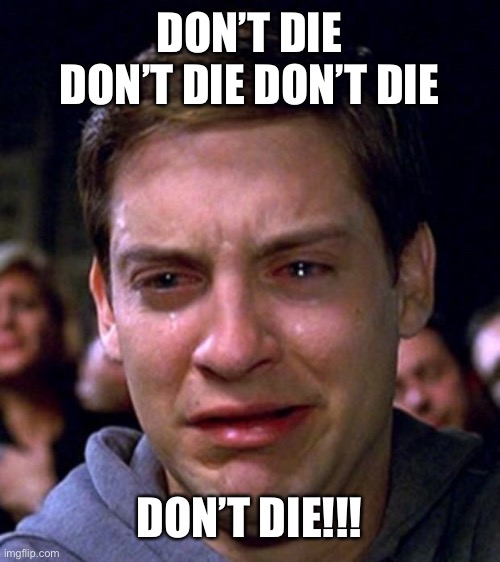 Spire and everyone don’t! | DON’T DIE DON’T DIE DON’T DIE; DON’T DIE!!! | image tagged in crying peter parker | made w/ Imgflip meme maker