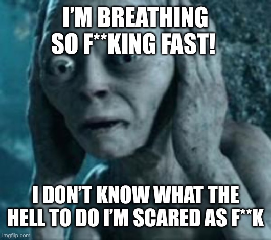 I’m utterly terrified | I’M BREATHING SO F**KING FAST! I DON’T KNOW WHAT THE HELL TO DO I’M SCARED AS F**K | image tagged in scared gollum | made w/ Imgflip meme maker