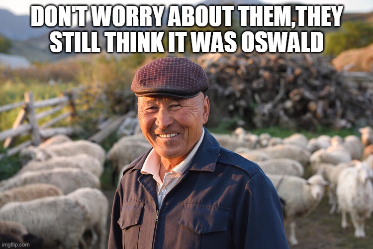 Blind Sheep | DON'T WORRY ABOUT THEM,THEY STILL THINK IT WAS OSWALD | image tagged in sheep,deep state,oswald,stupid liberals,brain washed,programmed sheep | made w/ Imgflip meme maker