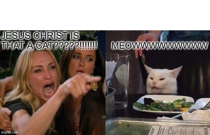 Woman Yelling At Cat | JESUS CHRIST IS THAT A CAT?????!!!!!!! MEOWWWWWWWWW | image tagged in memes,woman yelling at cat | made w/ Imgflip meme maker