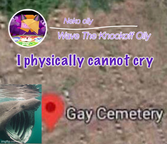 Feel free to ask why | I physically cannot cry | made w/ Imgflip meme maker