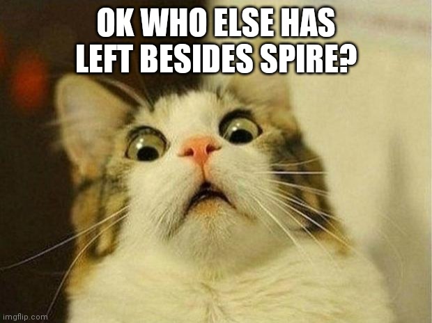 Scared Cat Meme | OK WHO ELSE HAS LEFT BESIDES SPIRE? | image tagged in memes,scared cat | made w/ Imgflip meme maker