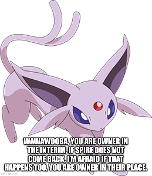 WAWAWOOBA, YOU ARE OWNER IN THE INTERIM, IF SPIRE DOES NOT COME BACK, I’M AFRAID IF THAT HAPPENS TOO, YOU ARE OWNER IN THEIR PLACE. | made w/ Imgflip meme maker