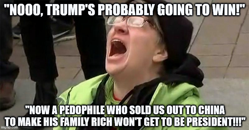 A real loss for the world. | "NOOO, TRUMP'S PROBABLY GOING TO WIN!"; "NOW A PEDOPHILE WHO SOLD US OUT TO CHINA TO MAKE HIS FAMILY RICH WON'T GET TO BE PRESIDENT!!!" | image tagged in crying liberal,biden,trump | made w/ Imgflip meme maker