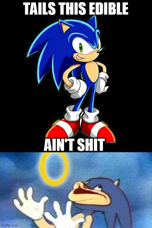 moder humor | TAILS THIS EDIBLE; AIN'T SHIT | image tagged in memes,you're too slow sonic | made w/ Imgflip meme maker