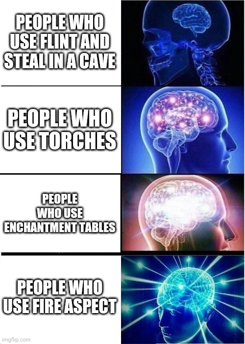 Expanding Brain | PEOPLE WHO USE FLINT AND STEAL IN A CAVE; PEOPLE WHO USE TORCHES; PEOPLE WHO USE ENCHANTMENT TABLES; PEOPLE WHO USE FIRE ASPECT | image tagged in memes,expanding brain | made w/ Imgflip meme maker