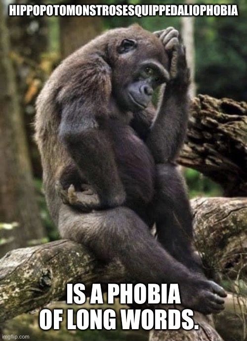 Gorilla lost in thought | HIPPOPOTOMONSTROSESQUIPPEDALIOPHOBIA; IS A PHOBIA OF LONG WORDS. | image tagged in gorilla lost in thought | made w/ Imgflip meme maker