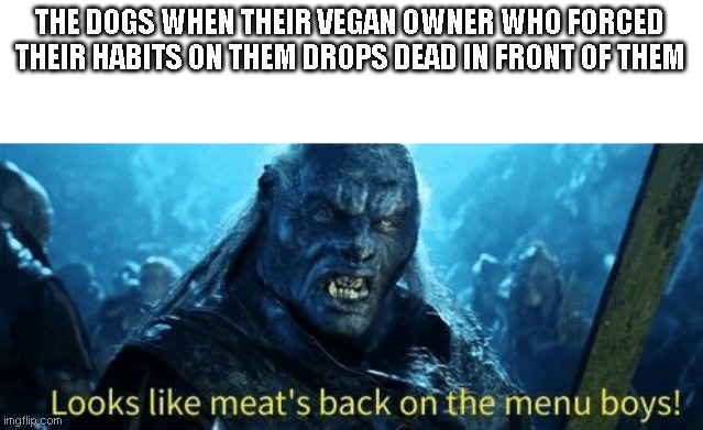 this is where the fun begins | THE DOGS WHEN THEIR VEGAN OWNER WHO FORCED THEIR HABITS ON THEM DROPS DEAD IN FRONT OF THEM | image tagged in meme | made w/ Imgflip meme maker