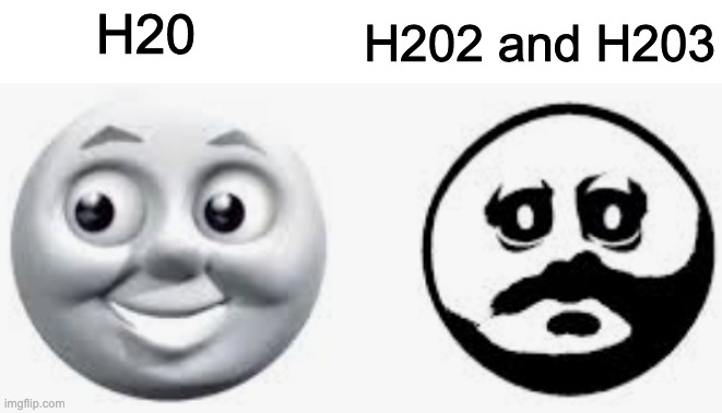 H202 and H203; H20 | made w/ Imgflip meme maker