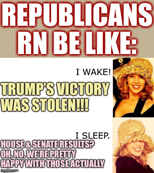Please don’t let them know that the House and Senate are elected on the same damn ballots. | REPUBLICANS RN BE LIKE: | image tagged in 2020 elections,election 2020,voter fraud,rigged elections,conservative logic,conservative hypocrisy | made w/ Imgflip meme maker