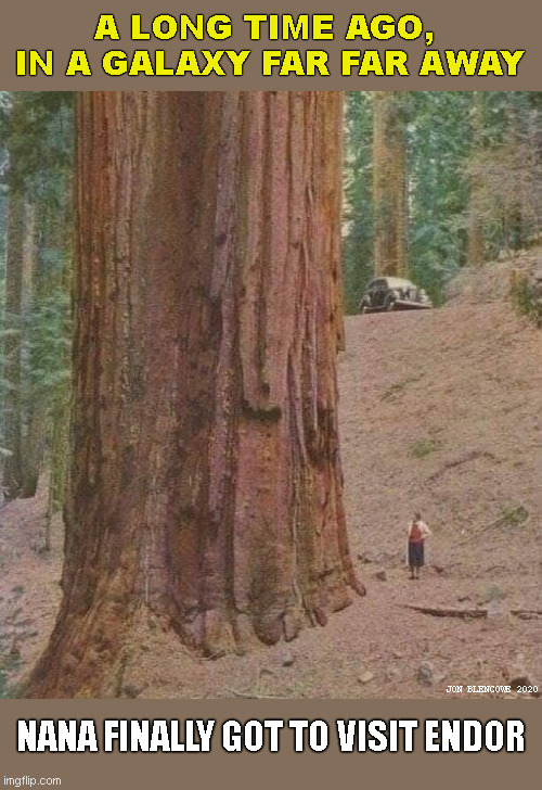 Nanna Gets to visit Endor | A LONG TIME AGO, 
IN A GALAXY FAR FAR AWAY; JON BLENCOWE 2020; NANA FINALLY GOT TO VISIT ENDOR | image tagged in star wars | made w/ Imgflip meme maker