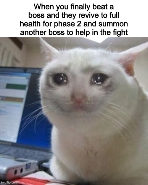 I'm looking at you Sister Friede | When you finally beat a boss and they revive to full health for phase 2 and summon another boss to help in the fight | image tagged in crying cat | made w/ Imgflip meme maker
