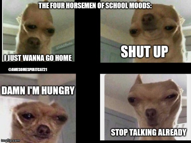 The four horsemen of school | @AWESOMESPIRITCAT21 | image tagged in funny | made w/ Imgflip meme maker