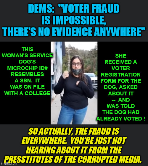 Honestly the fraud stories all over are so blatant, that if the evening comedy shows weren't so biased, they'd have a field day! | DEMS:  "VOTER FRAUD IS IMPOSSIBLE, THERE'S NO EVIDENCE ANYWHERE"; SHE RECEIVED A VOTER REGISTRATION FORM FOR THE DOG, ASKED ABOUT IT --  AND WAS TOLD THE DOG HAD ALREADY VOTED ! THIS WOMAN'S SERVICE DOG'S MICROCHIP ID# RESEMBLES A SSN.  IT WAS ON FILE WITH A COLLEGE; SO ACTUALLY, THE FRAUD IS EVERYWHERE.  YOU'RE JUST NOT HEARING ABOUT IT FROM THE PRESSTITUTES OF THE CORRUPTED MEDIA. | image tagged in election 2020,ballot stuffing,corrupt democrats,voter fraud,election tampering,joe biden | made w/ Imgflip meme maker