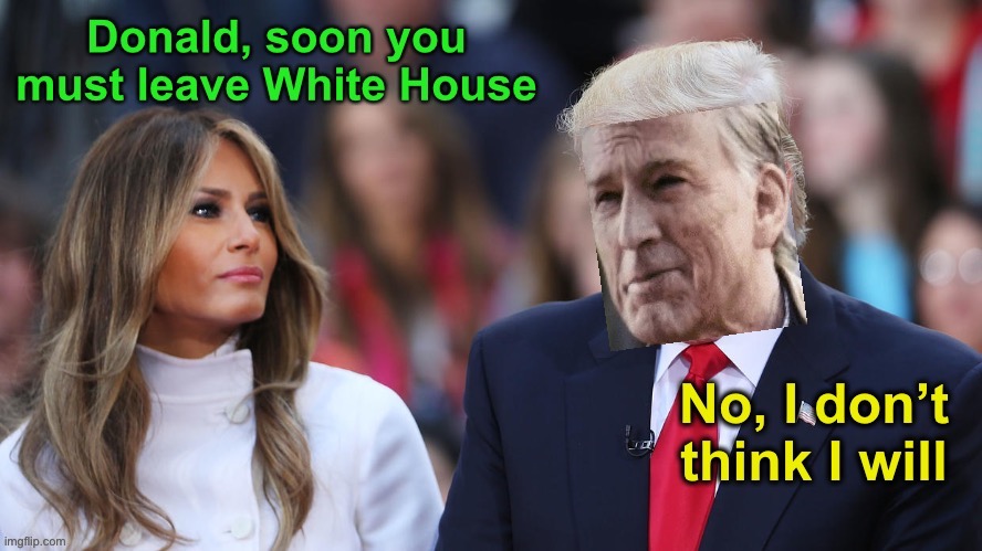*shrug* she tried. | image tagged in no i don't think i will,donald trump,memes,funny | made w/ Imgflip meme maker