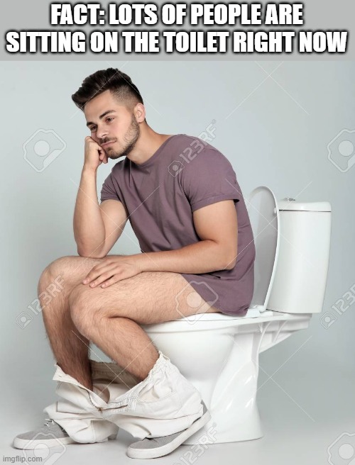 Lots Of People Are Sitting On The Toilet |  FACT: LOTS OF PEOPLE ARE SITTING ON THE TOILET RIGHT NOW | image tagged in lots of people,sitting,on the toilet,pooping,funny,wtf | made w/ Imgflip meme maker