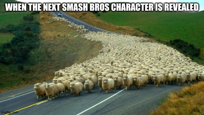 sheep | WHEN THE NEXT SMASH BROS CHARACTER IS REVEALED | image tagged in sheep,super smash bros | made w/ Imgflip meme maker