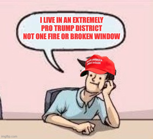 Boardroom Suggestion Guy | I LIVE IN AN EXTREMELY PRO TRUMP DISTRICT NOT ONE FIRE OR BROKEN WINDOW | image tagged in boardroom suggestion guy | made w/ Imgflip meme maker