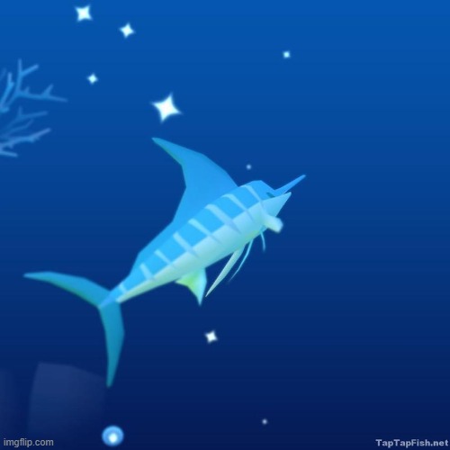 A pic of a Striped Marlin | image tagged in fish,tap tap fish | made w/ Imgflip meme maker