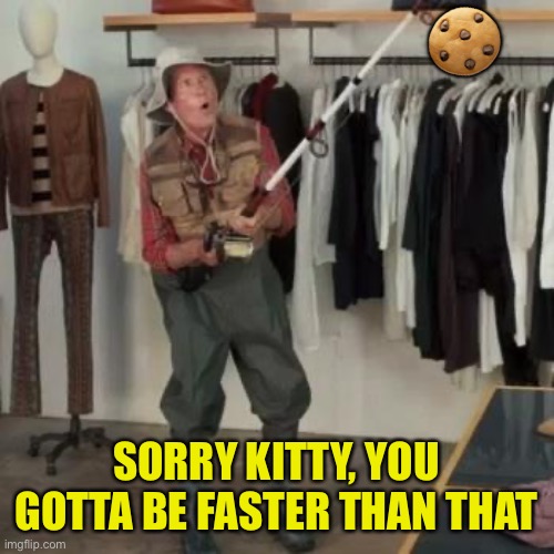State Farm Fisherman  | ? SORRY KITTY, YOU GOTTA BE FASTER THAN THAT | image tagged in state farm fisherman | made w/ Imgflip meme maker