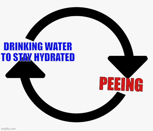 Winters Routine | DRINKING WATER TO STAY HYDRATED; PEEING | image tagged in funny,memes,winter,cycle | made w/ Imgflip meme maker