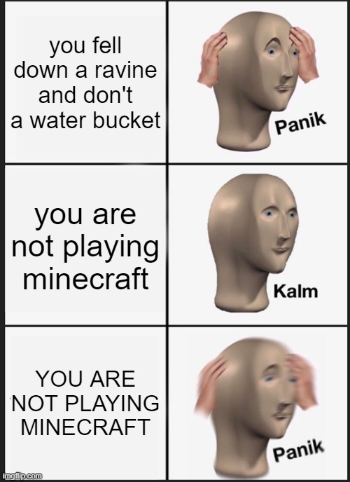 hope he found some diamonds on the way down... | you fell down a ravine and don't a water bucket; you are not playing minecraft; YOU ARE NOT PLAYING MINECRAFT | image tagged in memes,panik kalm panik,ravines,you thought,no water bucket,falling | made w/ Imgflip meme maker