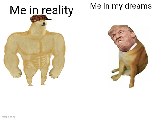 Buff Doge vs. Cheems | Me in my dreams; Me in reality | image tagged in memes,buff doge vs cheems | made w/ Imgflip meme maker