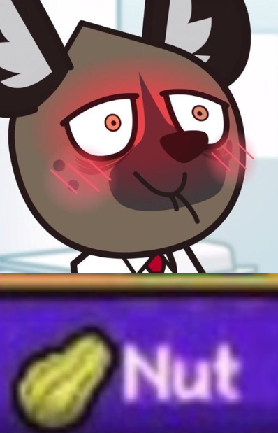 Haida is nutting Blank Meme Template