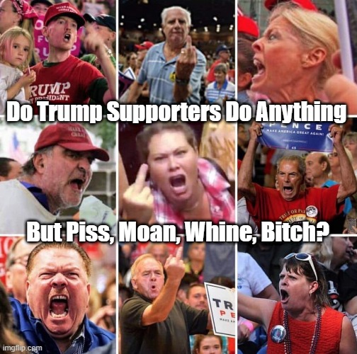 "Do Trump Supporters Do Anything But..." | Do Trump Supporters Do Anything; But Piss, Moan, Whine, Bitch? | image tagged in whine,piss,moan,bitch,complain,playing the victim card | made w/ Imgflip meme maker
