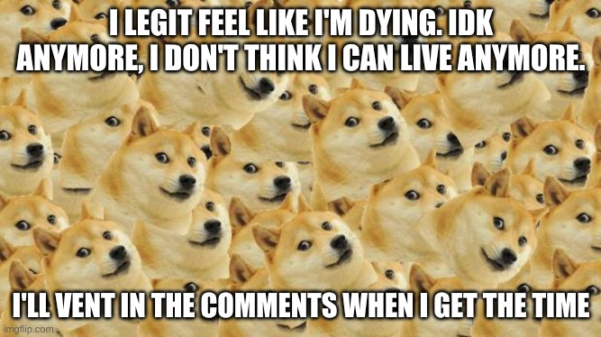 Ignore the doges. they always cheer me up. | I LEGIT FEEL LIKE I'M DYING. IDK ANYMORE, I DON'T THINK I CAN LIVE ANYMORE. I'LL VENT IN THE COMMENTS WHEN I GET THE TIME | image tagged in memes,multi doge | made w/ Imgflip meme maker