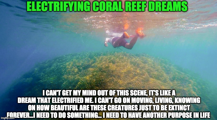 CORAL PROPAGATION | ELECTRIFYING CORAL REEF DREAMS; I CAN'T GET MY MIND OUT OF THIS SCENE, IT'S LIKE A DREAM THAT ELECTRIFIED ME. I CAN'T GO ON MOVING, LIVING, KNOWING ON HOW BEAUTIFUL ARE THESE CREATURES JUST TO BE EXTINCT FOREVER...I NEED TO DO SOMETHING... I NEED TO HAVE ANOTHER PURPOSE IN LIFE | image tagged in coral propagation | made w/ Imgflip meme maker