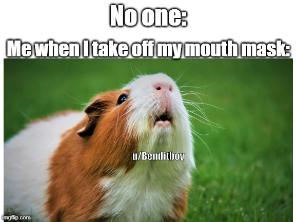 I always run out of breath at school | No one:; Me when I take off my mouth mask:; u/Benditboy | image tagged in coronavirus | made w/ Imgflip meme maker