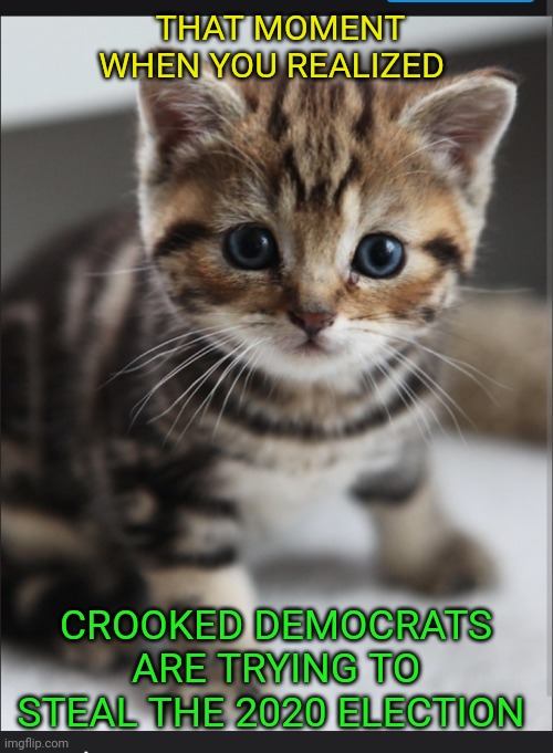 They won't get away with it | THAT MOMENT WHEN YOU REALIZED; CROOKED DEMOCRATS ARE TRYING TO STEAL THE 2020 ELECTION | image tagged in president trump,election 2020,winner | made w/ Imgflip meme maker