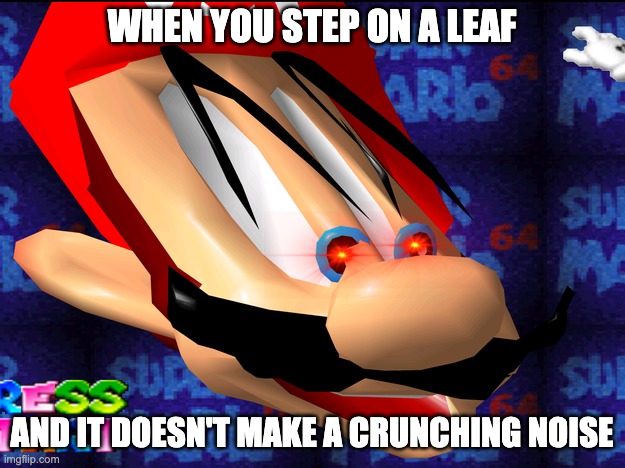 BRUH | WHEN YOU STEP ON A LEAF; AND IT DOESN'T MAKE A CRUNCHING NOISE | image tagged in bruh,memes,so true memes,so true | made w/ Imgflip meme maker