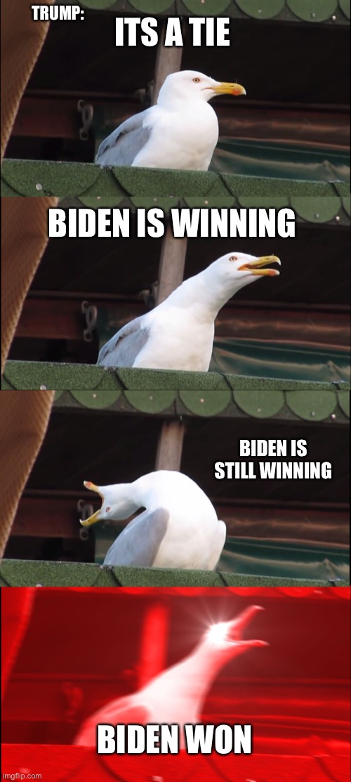 Inhaling Seagull | ITS A TIE; TRUMP:; BIDEN IS WINNING; BIDEN IS STILL WINNING; BIDEN WON | image tagged in memes,inhaling seagull | made w/ Imgflip meme maker