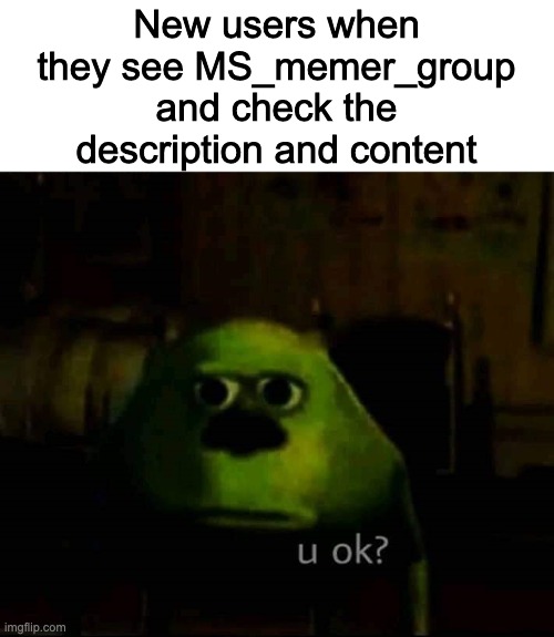 u ok | New users when they see MS_memer_group and check the description and content | image tagged in u ok | made w/ Imgflip meme maker